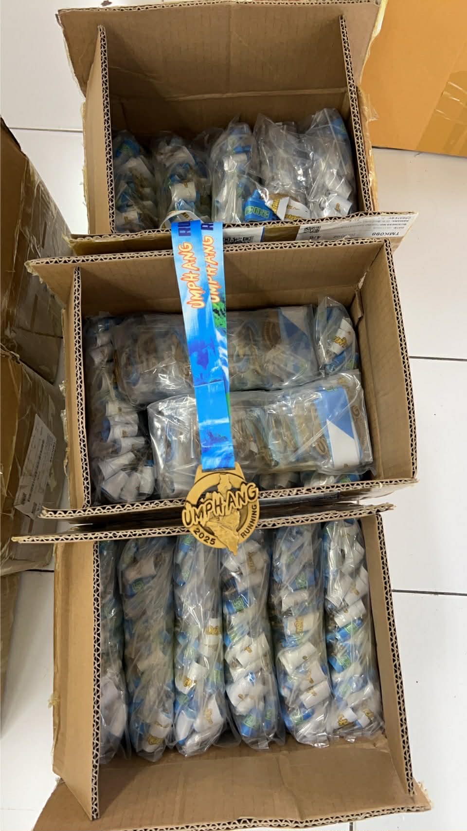 FinisherMedal 33