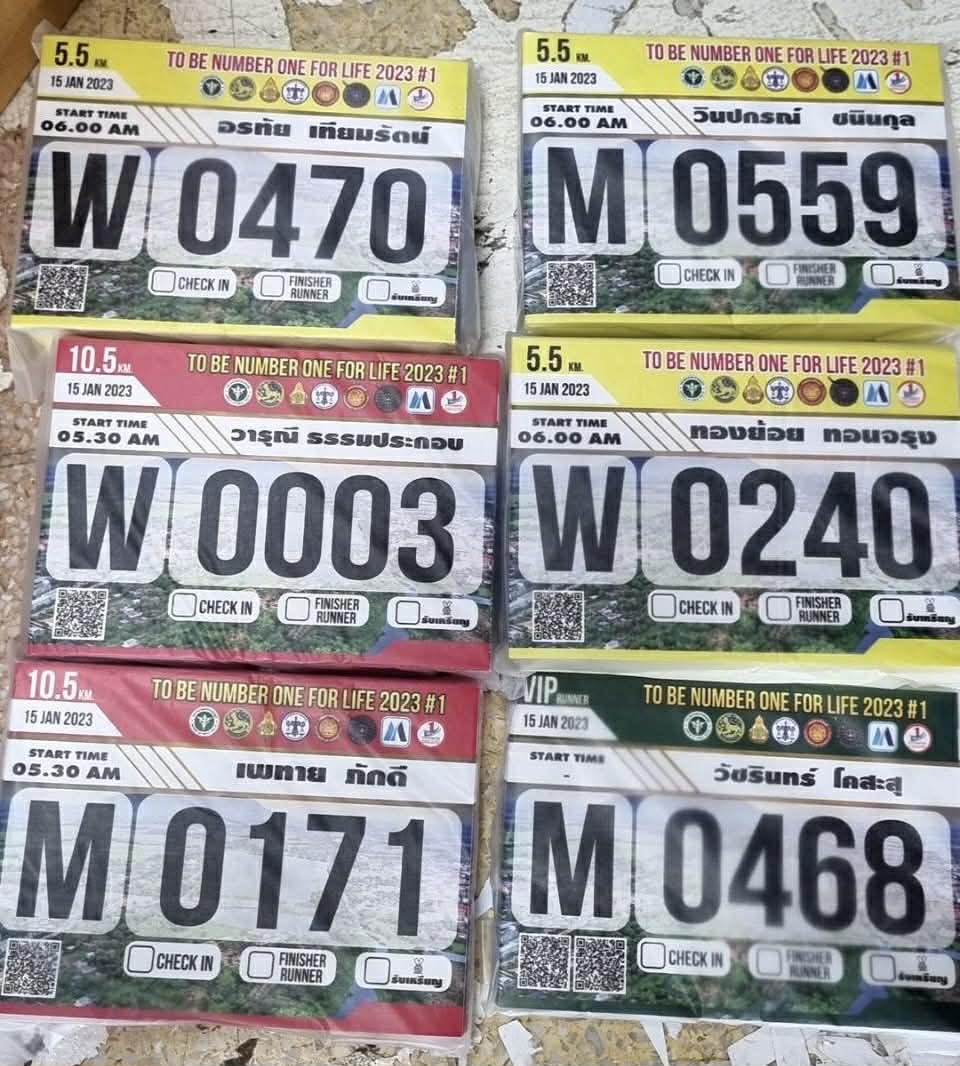 RaceBib 12